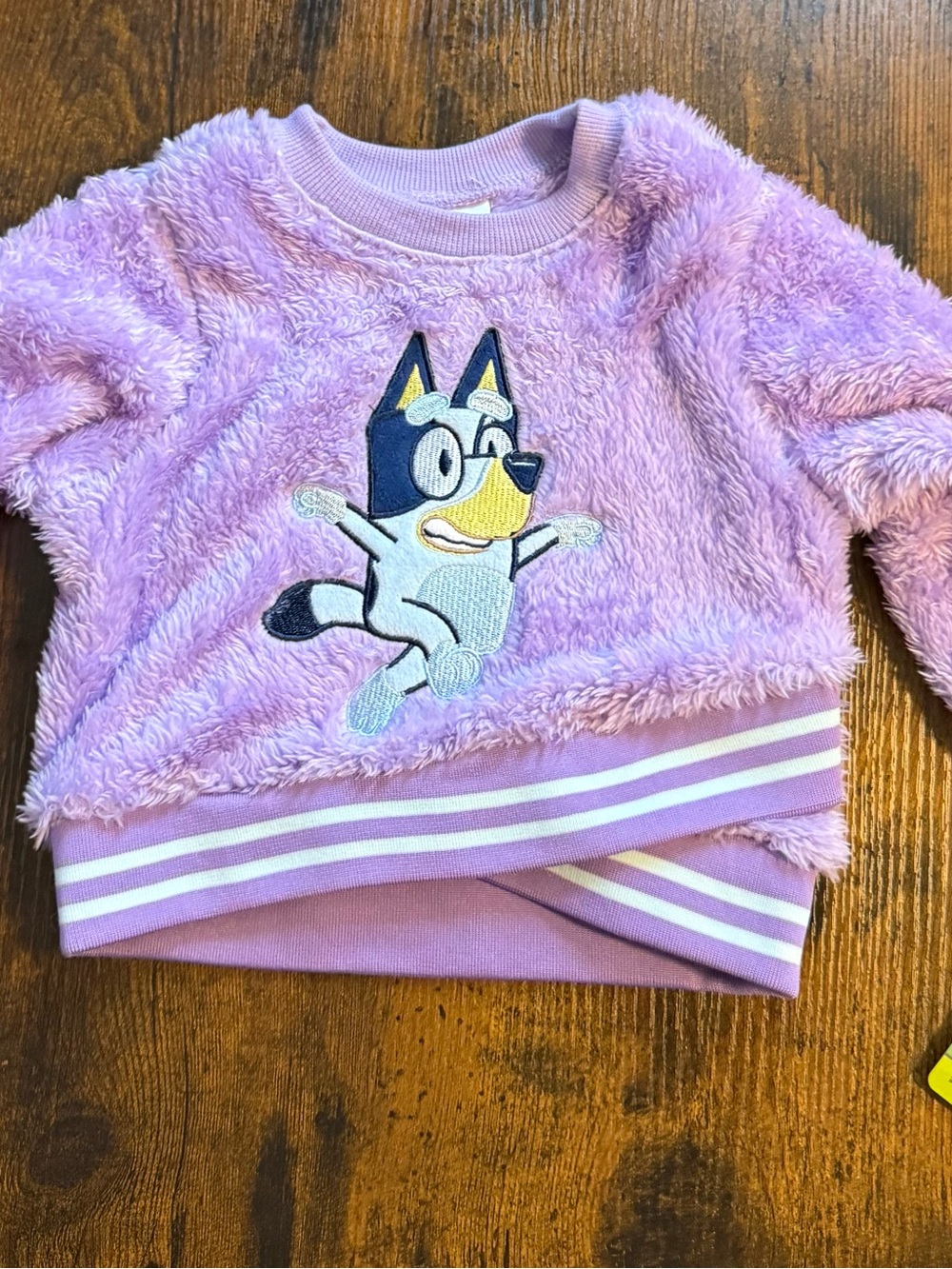 Bluey 12M Fuzzy Pullover Sweatshirt NWT